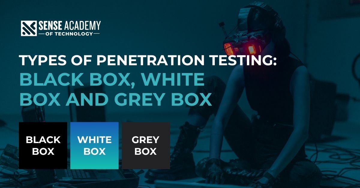 Sense Academy's infographic on penetration testing types, which includes Black Box, White Box, and Grey Box testing.
