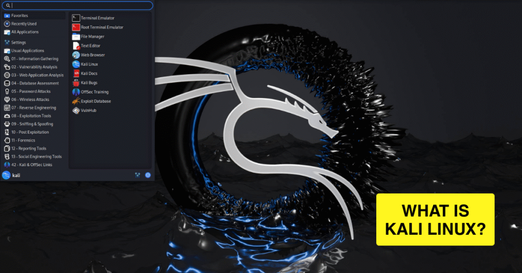 Picture showing "What is Kali Linux"
