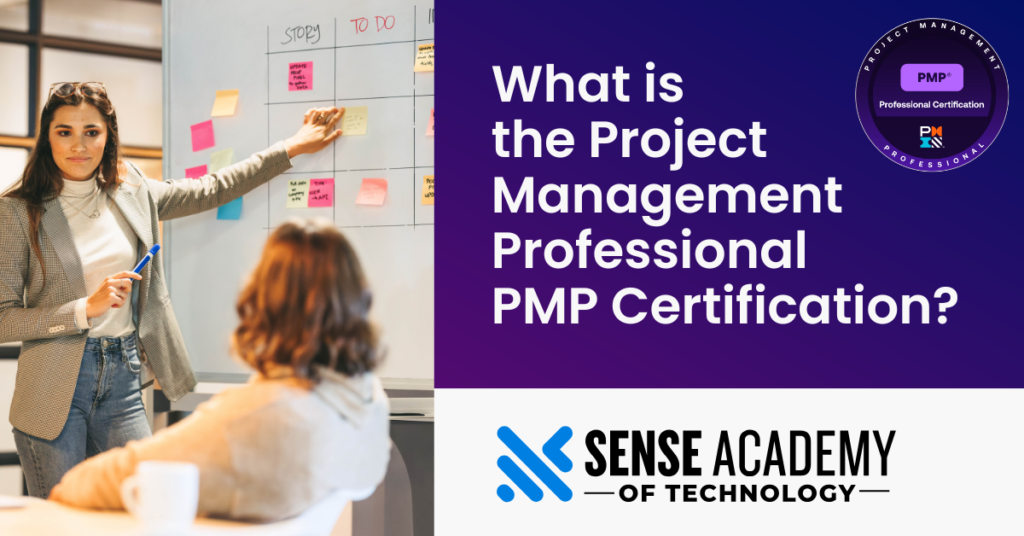 Banner promoting What is the Project Management Professional PMP Certification